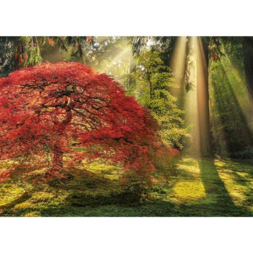 heye magic forests guiding light 1000 29855 02