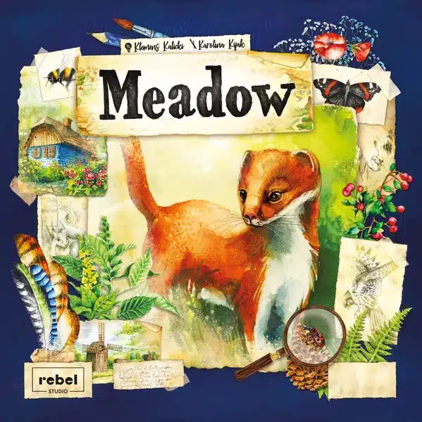 meadow 01