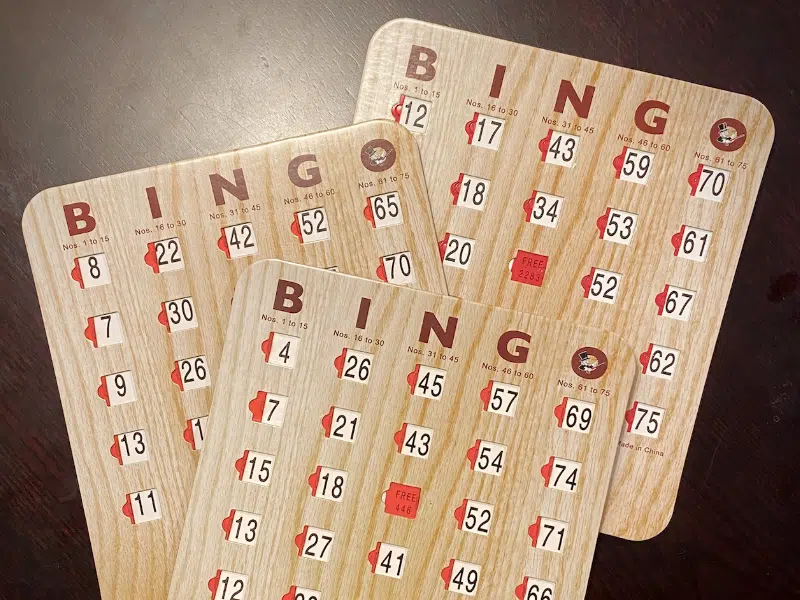 bingo leiga 800x600 1